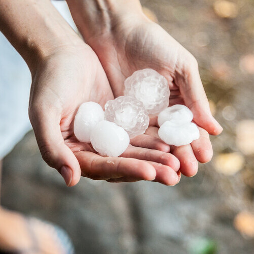 very large hail in the hands