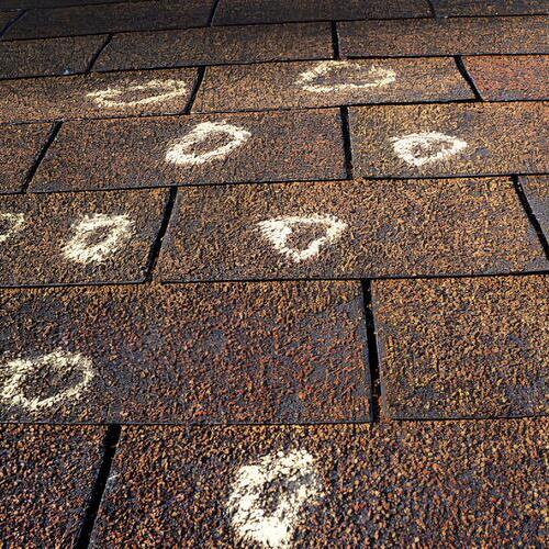 markings on a shingle roof